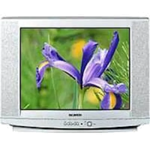 Замена корпуса Samsung CS-29U2 WTR