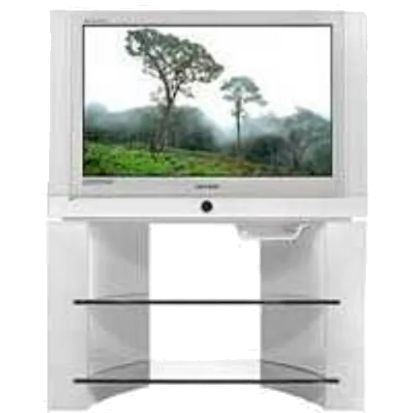 Замена корпуса Samsung WS-32Z6HPQ