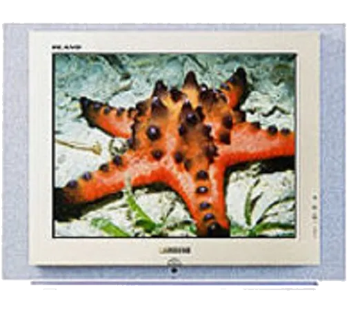 Замена корпуса Samsung CS-29Z4HNQ
