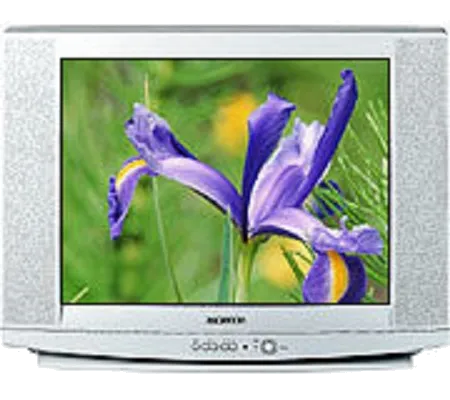 Замена корпуса Samsung CS-29U2 R