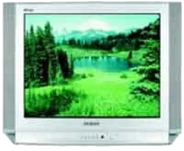 Замена корпуса Samsung CS-29D8 WTR
