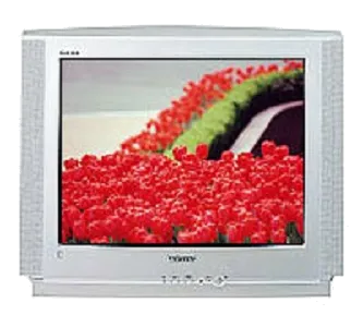 Замена корпуса Samsung CS-29V5WTR